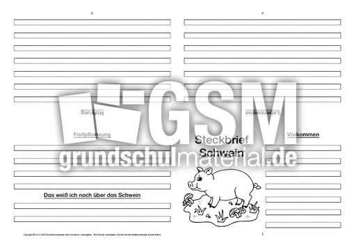 Schwein-Faltbuch-vierseitig-1.pdf
